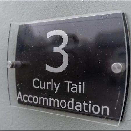 Curly Tail Accommodation Bishop's Castle Extérieur photo