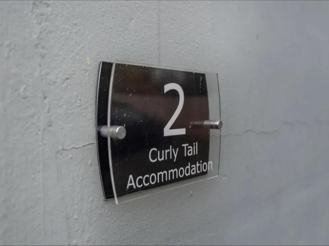 Curly Tail Accommodation Bishop's Castle Extérieur photo